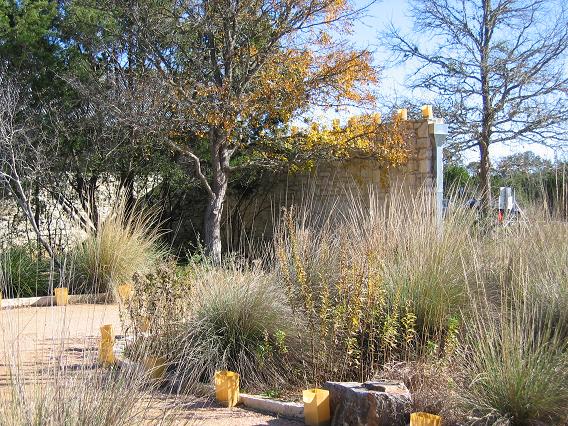 Winter wonderland at the Wildflower Center